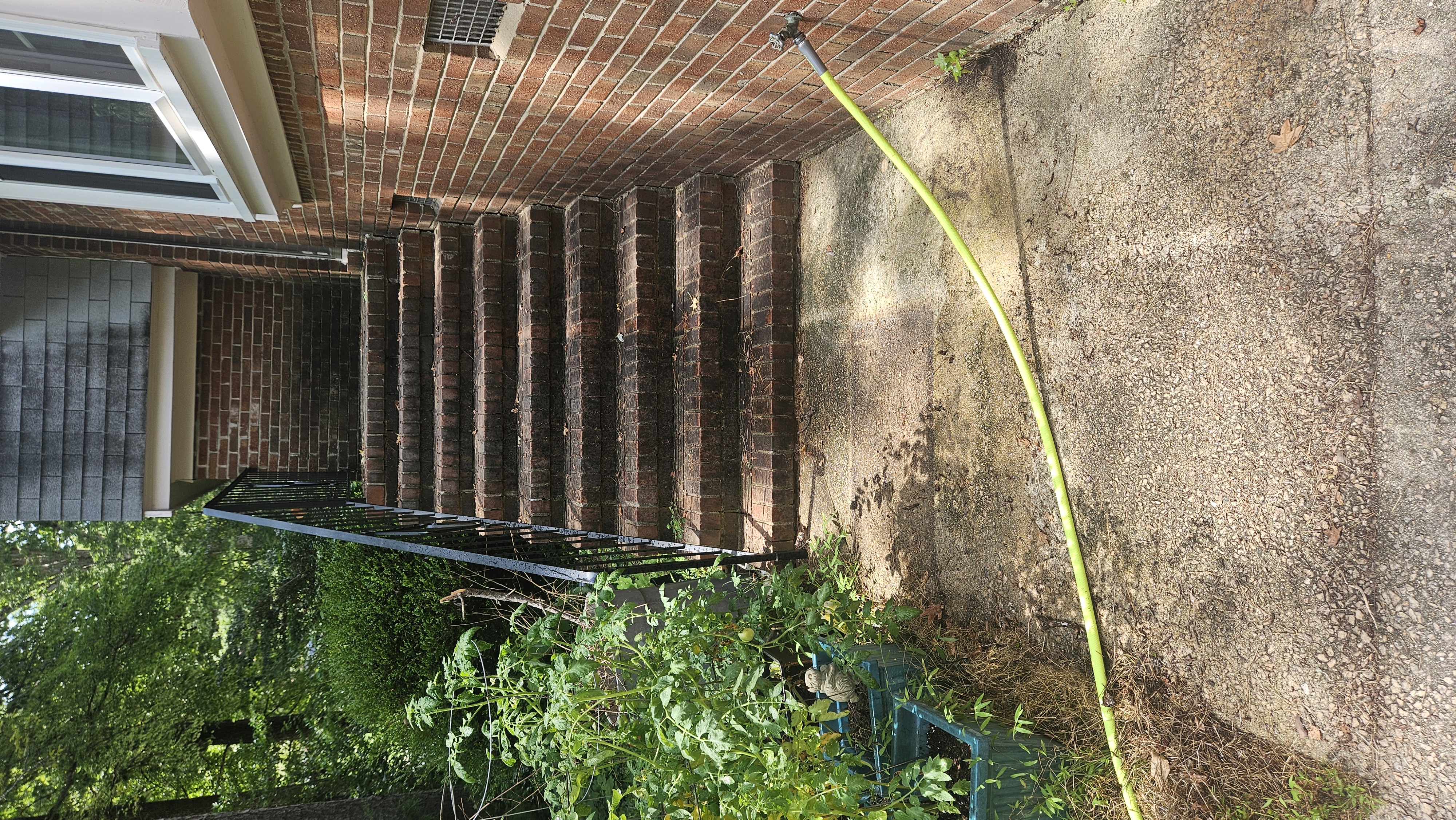 Concrete Cleaning 5 before